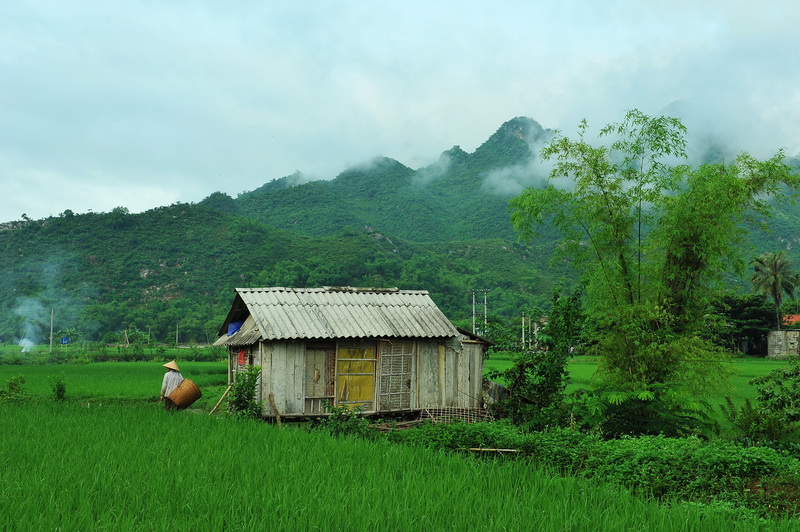 Mai Chau valley, where nature whispers tales of forgotten beauty.