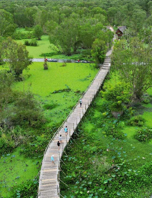 Tra Su forest famous for Vietnam's longest bamboo bridge. 