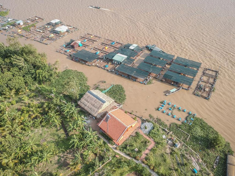 An Binh Islet - The Green Paradise in the Middle of the River