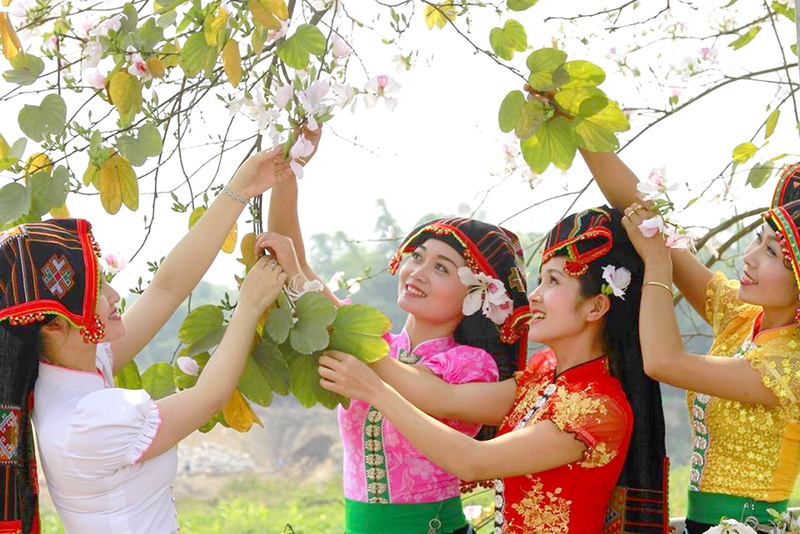 Ban flowers is a symbol of Dien Bien province and Vietnam's Northwest region.