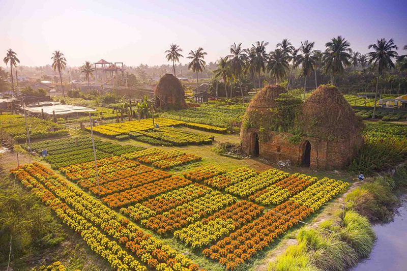 Chợ Lách Flower Village in Ben Tre province in Mekong Delta