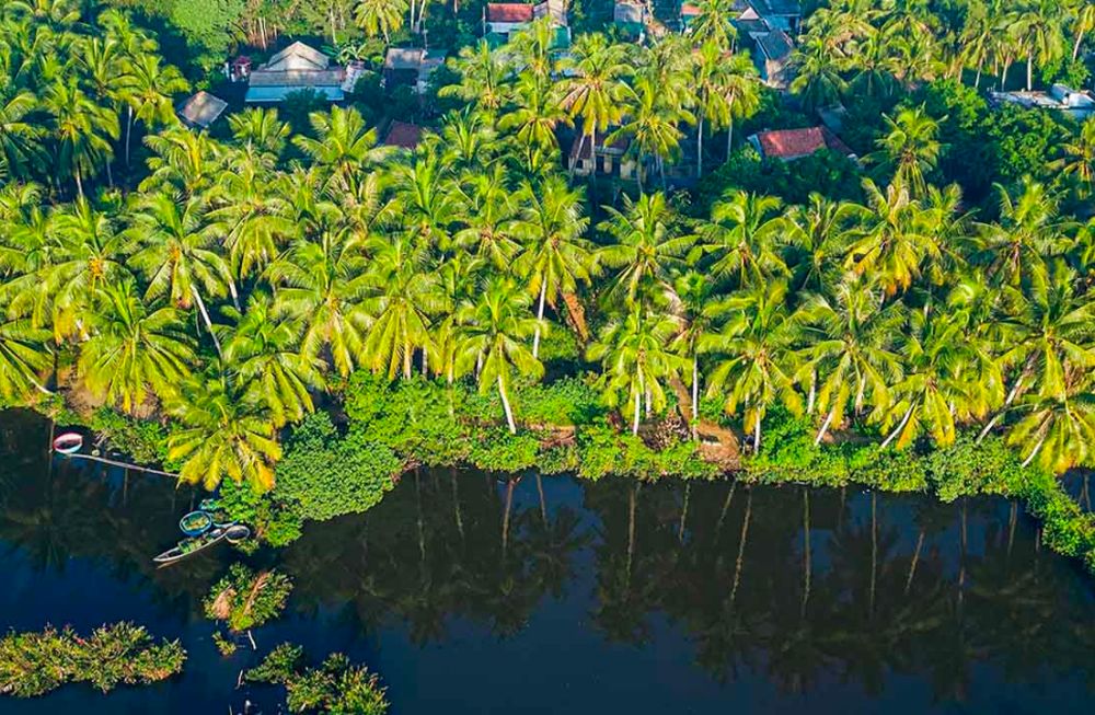 Phung Islet - a peaceful village of coconut land