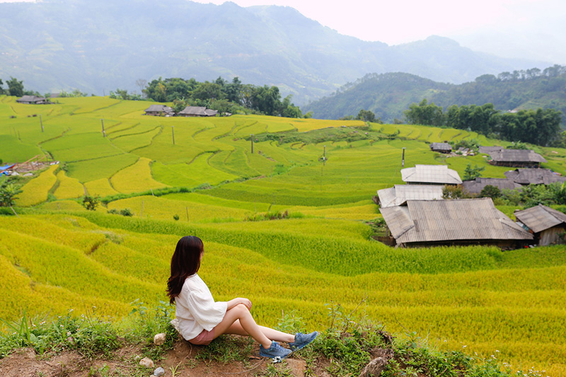 Hoang Su Phi Rice Terraces in Ha Giang province