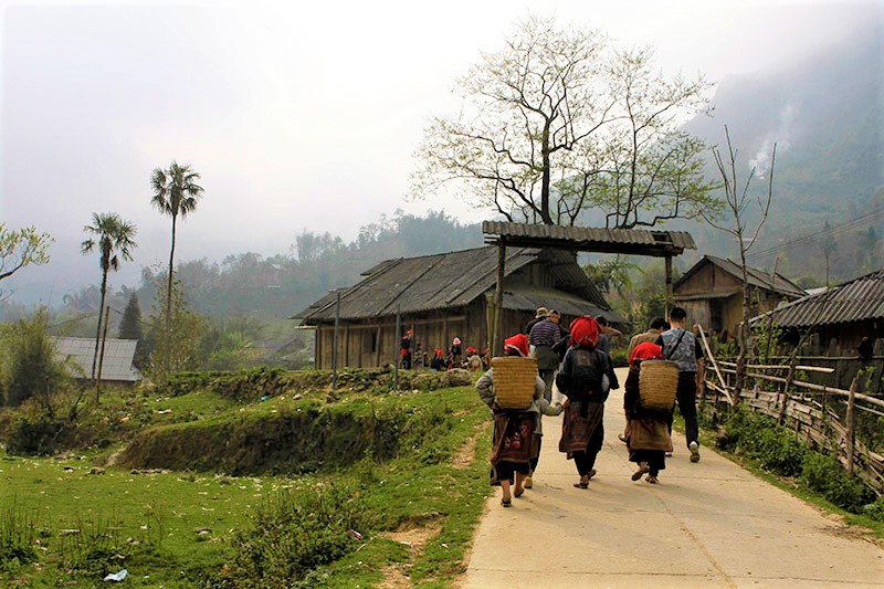 Trekking Sapa