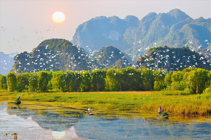 Thung Nham Bird Park in Ninh Binh