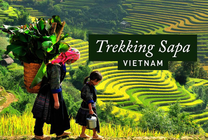 Best trekking routes in Sapa Vietnam and guide complete