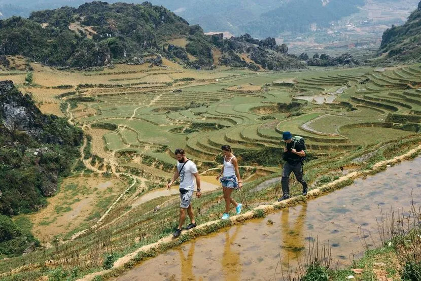 Trekking through Sapa rice terraced field