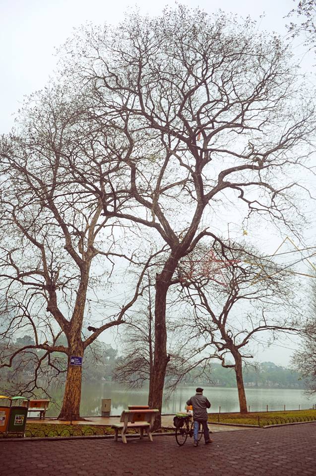 The quiet space and the beauty of Hanoi in winter.